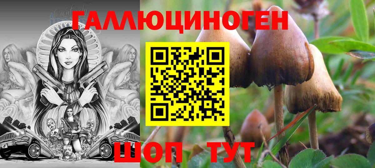 Псилоцибиновые грибы мухоморы  Галлюциногенные грибы Magic Shrooms  Владивосток  Вход с VPN 