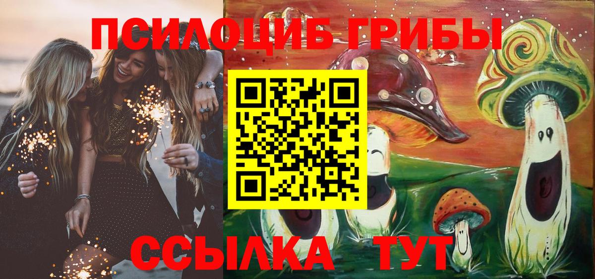 Галлюциногенные грибы Cubensis Владивосток